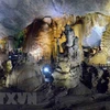 44 new caves found in Phong Nha – Ke Bang national park 
