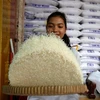 Cambodia’s rice export down in 7-month period