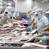 Tra fish exports surge in seven months