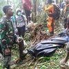 Eight killed in plane crash in Indonesia