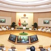 Cabinet members debate institutional development