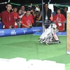 Vietnam attends world robot contest in Mexico