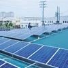 Rooftop solar panels can satisfy half of power demand: experts 