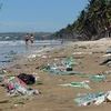 Binh Thuan authorities order clean-up of Phan Thiet beach 