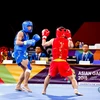 Asian Games 2018: Vietnam secures another silver in wushu 