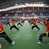 Second world championship of Vietnamese martial arts opens