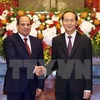 High level visits to shape basis for stronger Vietnam-Egypt ties