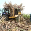 Vietnam to auction sugar import quotas for 94,000 tonnes