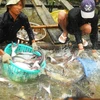Adaptation measures needed to sustainably develop aquaculture