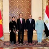 President Tran Dai Quang holds talks with Egyptian counterpart