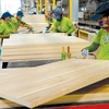 Forestry exports estimated to exceed 5.8 billion USD in 8 months