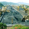 Vinacomin targets 41 tonnes of coal next year