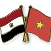 Congratulations on 55th anniversary of Vietnam-Egypt ties
