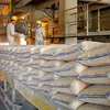 Cement industry records impressive export growth