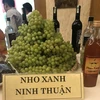 Ninh Thuan seeks ways to develop tourism