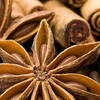 Spices could be nice export earner