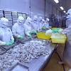US lowers anti-dumping tariff on Vietnam’s shrimp exports