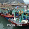 Fishing to be forbidden in Ha Long Bay’s natural reserves 