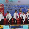 Long An has first solar power project