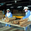 Forestry exports estimated at 6.64 billion USD in nine months