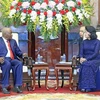 Acting President greets former Mozambican President 