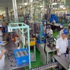 FDI projects provide impetus for Quang Nam’s economy