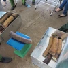 Ivory, pangolin scales seized in Da Nang
