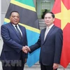 Vietnam treasures cooperative ties with Tanzania: Deputy FM
