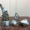 34kg of rhino horns seized at Noi Bai airport