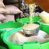 Myanmar exports over 1 million tonnes of rice in fiscal transition period