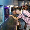 HCM City eyes ornamental fish breeding