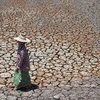 Alarm raised on emerging drought crisis in Thailand