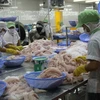 Global market bodes well for Vietnamese tra fish exports