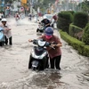 Solutions needed to ease Mekong Delta flooding