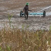 Mekong Delta likely to face drought, salinity in winter-spring crop