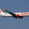 Indonesian Lion Air flight crashes into sea