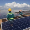 Ninh Thuan speeds up renewable energy projects 