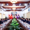 Vietnamese, Lao Party inspection agencies look to foster ties 
