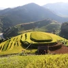 Tourism helps improve ethnic life in Mu Cang Chai 