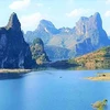 Northern Vietnam helps preserve prehistoric plants in East Asia