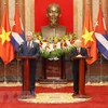  Vietnam, Cuba resolved to work for sustainable cooperation 