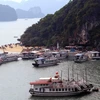 Ha Long city to inspect operations of tourist boats 