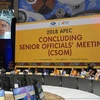 Vietnam takes part in 2018 APEC CSOM in Papua New Guinea