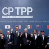 Action programme needed to fully tap CPTPP: experts 
