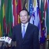 Vietnam reports on UN Convention against Torture implementation