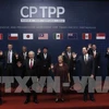 CPTPP to bring great chances for Singaporean businesses