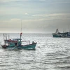 Kien Giang steps up education on IUU rules among fishermen