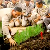 Thailand to hold World Soil Day in honour of late King
