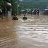 Vietnam among worst hit nations by extreme weather in past 20 years