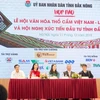 Dak Nong to host first Vietnam brocade festival 